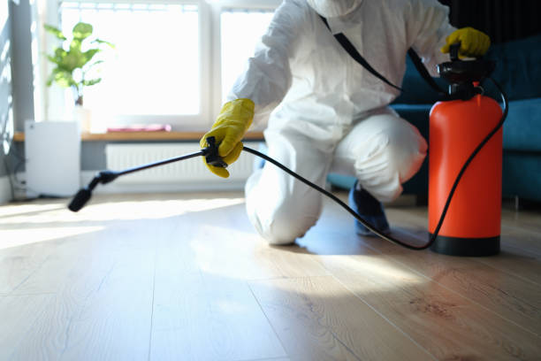 Affordable Infectious Disease Decontamination solutions in San Antonio, FL